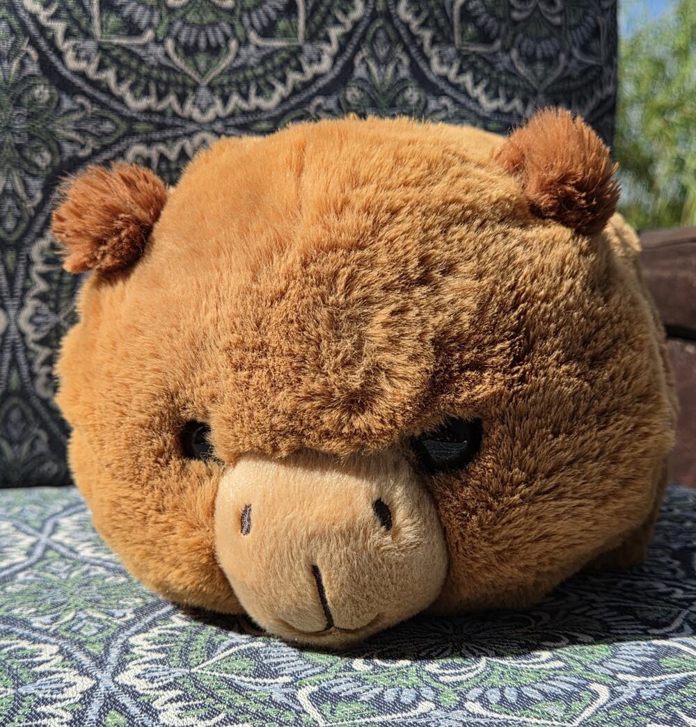 Aurora - Spudsters - 10.5" Carmen Capybara Adorable Stuffed Animal NWOT